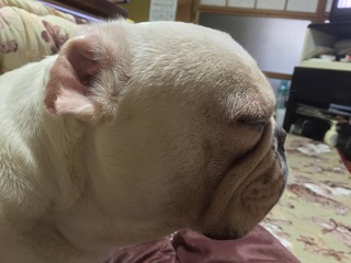 2015-10-11 12.30.23 HDR.jpg
