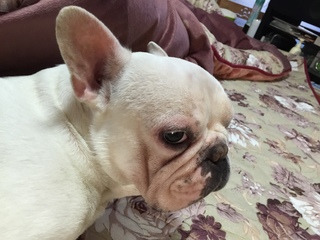 2015-10-14 12.28.21.jpg