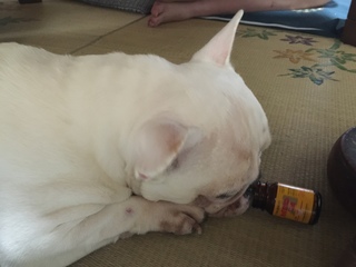 2016-07-20 12.36.31.jpg