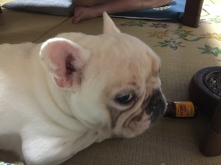2016-07-20 12.36.51.jpg