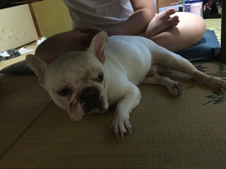 2016-07-20 12.43.50.jpg