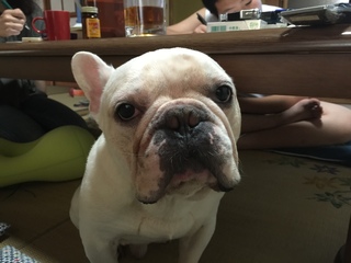 2016-07-20 12.44.13.jpg