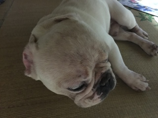 2016-07-24 18.14.59.jpg