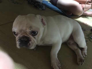 2016-07-24 18.15.03.jpg