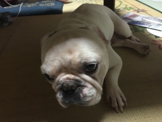 2016-07-24 18.15.36.jpg