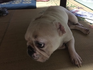 2016-07-24 18.15.41.jpg