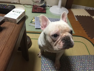 2016-07-24 19.30.13.jpg
