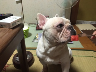 2016-07-24 19.30.24.jpg