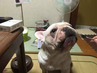 2016-07-24 19.30.27.jpg