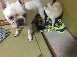 2016-07-25 12.01.56.jpg