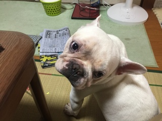 2016-07-25 12.38.05.jpg