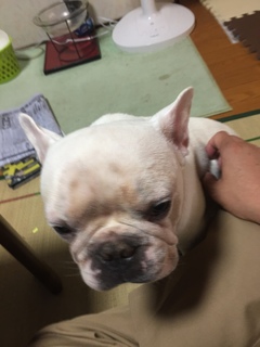 2016-07-25 12.39.50.jpg