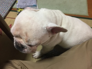 2016-07-25 12.43.45.jpg