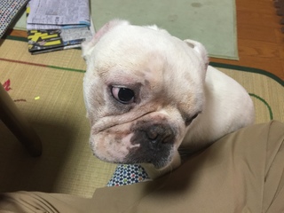 2016-07-25 12.44.01.jpg