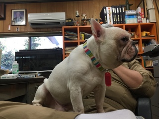 2016-07-29 18.15.59.jpg