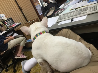 2016-07-29 18.23.48.jpg