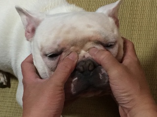 2016-08-09 12.54.47.jpg