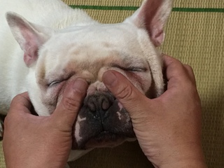 2016-08-09 12.54.51.jpg