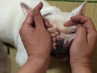 2016-08-09 12.54.59.jpg