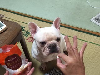 2016-08-09 12.56.19.jpg