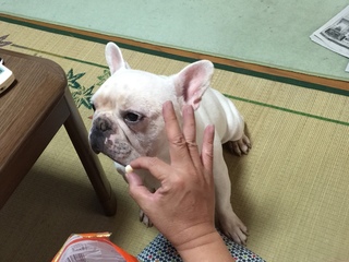 2016-08-09 12.56.39.jpg