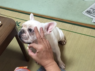 2016-08-09 12.56.43.jpg