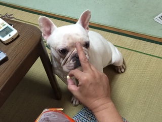 2016-08-09 12.56.46.jpg