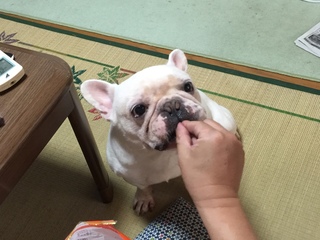 2016-08-09 12.56.49.jpg