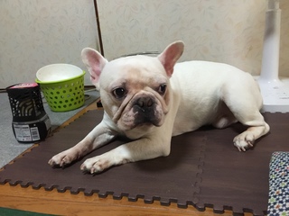 2016-08-31 12.24.15.jpg