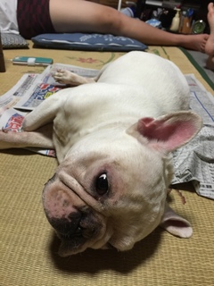 2016-09-04 20.33.54.jpg