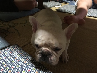 2016-09-05 19.56.00.jpg