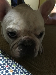 2016-09-05 19.56.25.jpg
