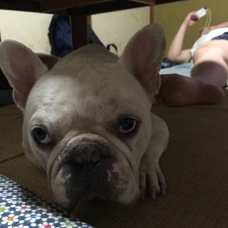2016-09-05 19.56.44.jpg