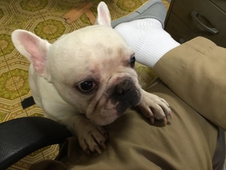 2016-09-06 15.32.44.jpg