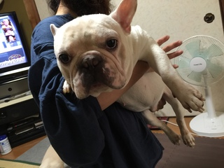 2016-09-13 12.15.04.jpg
