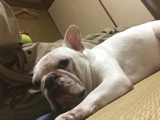 2016-09-13 12.38.38.jpg