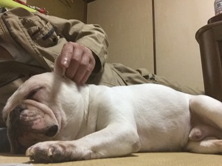 2016-09-13 12.38.47.jpg