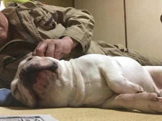 2016-09-13 12.38.55.jpg