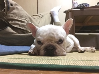 2016-09-13 12.51.24.jpg