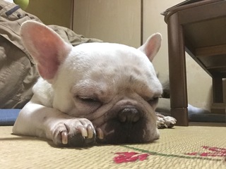 2016-09-13 12.57.40.jpg